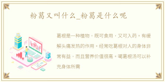 粉葛又叫什么_粉葛是什么呢