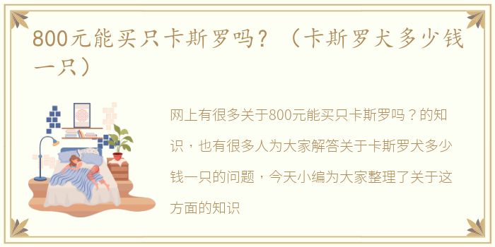 800元能买只卡斯罗吗？（卡斯罗犬多少钱一只）