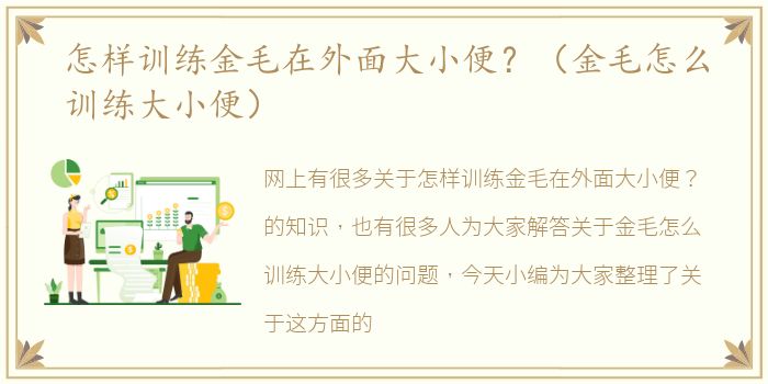 怎样训练金毛在外面大小便？（金毛怎么训练大小便）