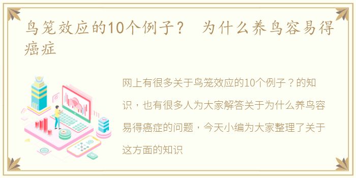 鸟笼效应的10个例子？ 为什么养鸟容易得癌症