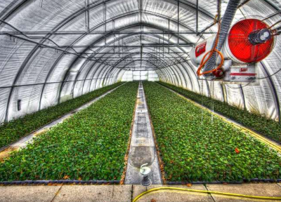 研究发现温室蔬菜生产排放大量一氧化二氮