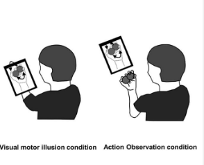 幻觉的力量可以帮助学习新动作