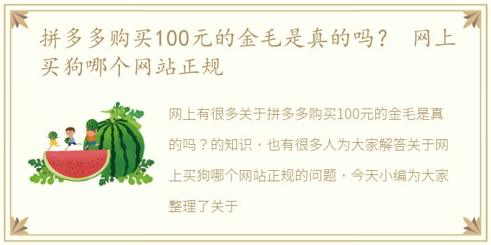 拼多多购买100元的金毛是真的吗？ 网上买狗哪个网站正规