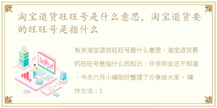 淘宝退货旺旺号是什么意思，淘宝退货要的旺旺号是指什么