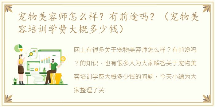 宠物美容师怎么样？有前途吗？（宠物美容培训学费大概多少钱）