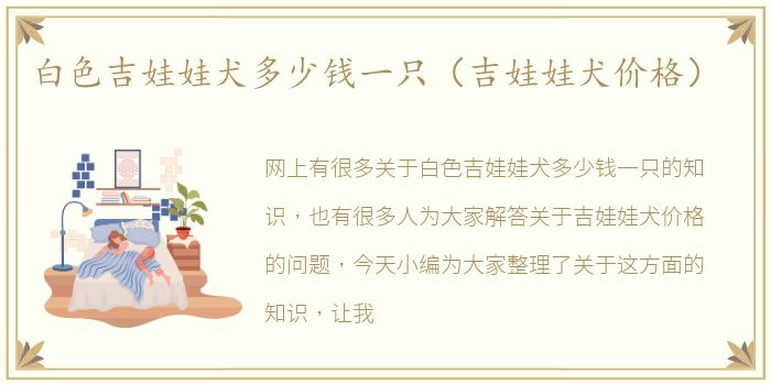 白色吉娃娃犬多少钱一只（吉娃娃犬价格）