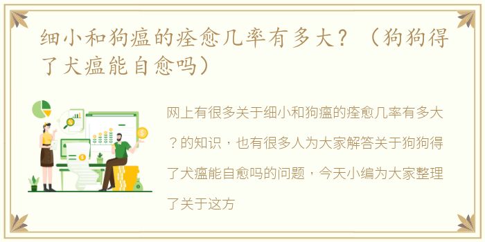 细小和狗瘟的痊愈几率有多大？（狗狗得了犬瘟能自愈吗）
