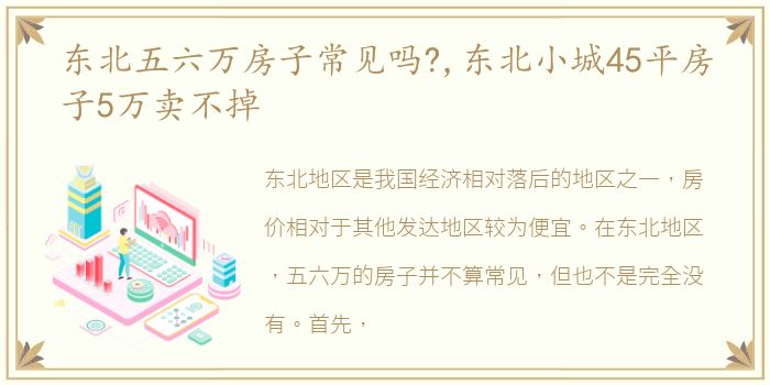 东北五六万房子常见吗?,东北小城45平房子5万卖不掉
