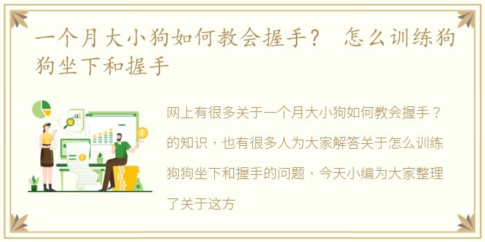 一个月大小狗如何教会握手？ 怎么训练狗狗坐下和握手