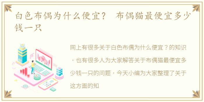 白色布偶为什么便宜？ 布偶猫最便宜多少钱一只