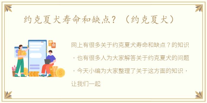 约克夏犬寿命和缺点？（约克夏犬）