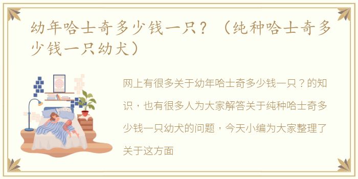 幼年哈士奇多少钱一只？（纯种哈士奇多少钱一只幼犬）