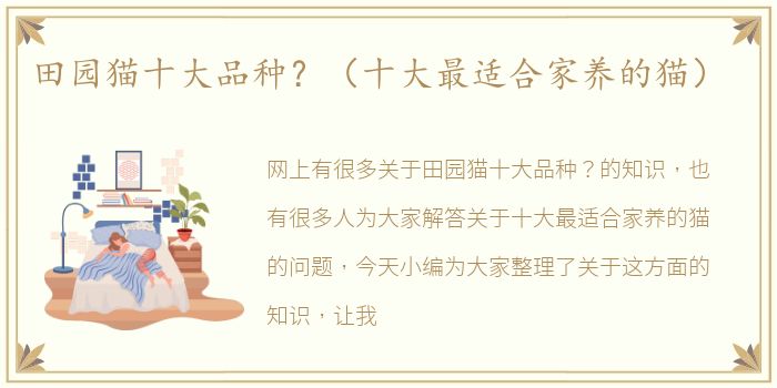 田园猫十大品种？（十大最适合家养的猫）