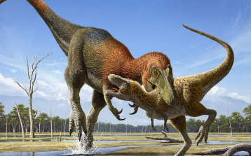 古生物学家称小暴龙是小型暴龙的独特物种
