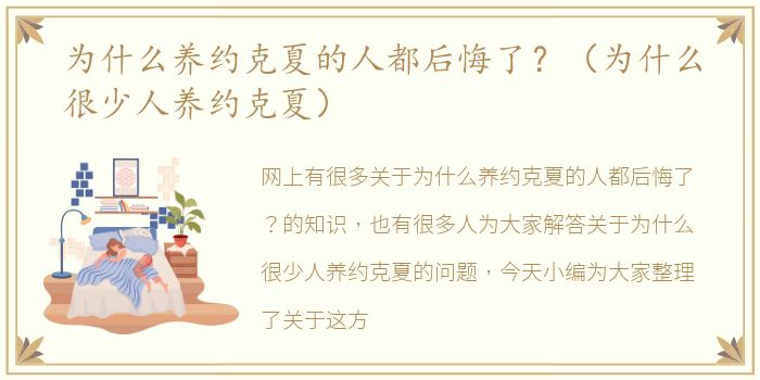 为什么养约克夏的人都后悔了？（为什么很少人养约克夏）