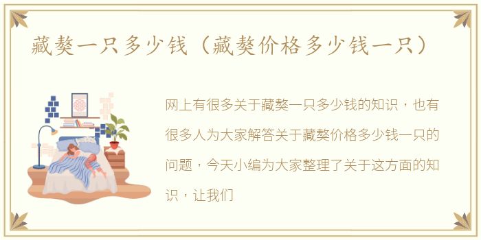 藏獒一只多少钱（藏獒价格多少钱一只）