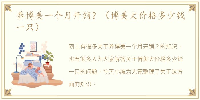 养博美一个月开销？（博美犬价格多少钱一只）
