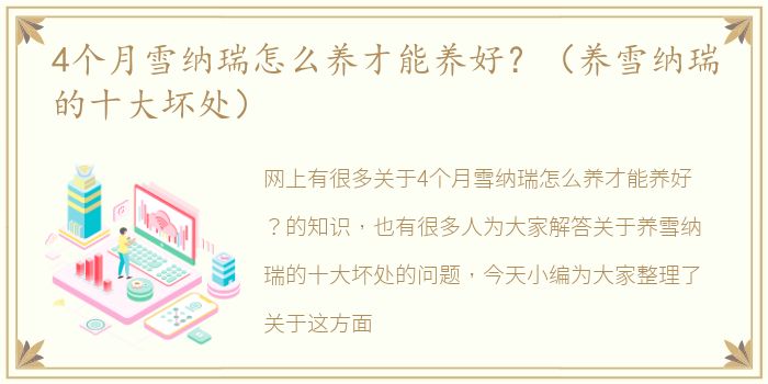 4个月雪纳瑞怎么养才能养好？（养雪纳瑞的十大坏处）