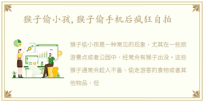 猴子偷小孩,猴子偷手机后疯狂自拍