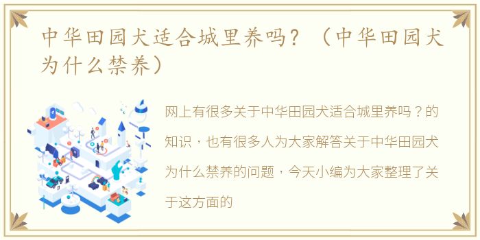 中华田园犬适合城里养吗？（中华田园犬为什么禁养）