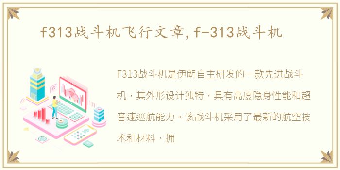 f313战斗机飞行文章,f-313战斗机