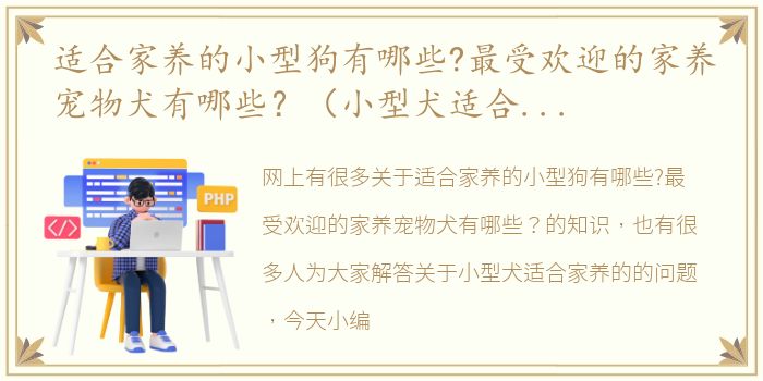 适合家养的小型狗有哪些?最受欢迎的家养宠物犬有哪些？（小型犬适合家养的）