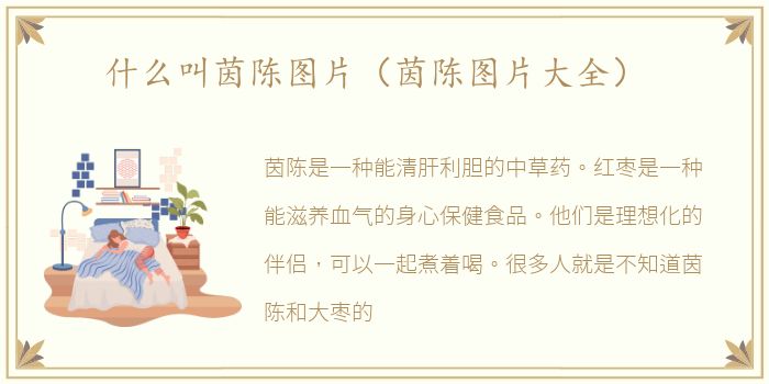 什么叫茵陈图片（茵陈图片大全）