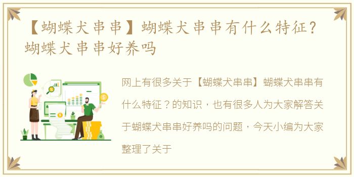 【蝴蝶犬串串】蝴蝶犬串串有什么特征？ 蝴蝶犬串串好养吗