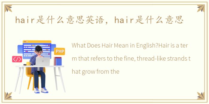 hair是什么意思英语，hair是什么意思