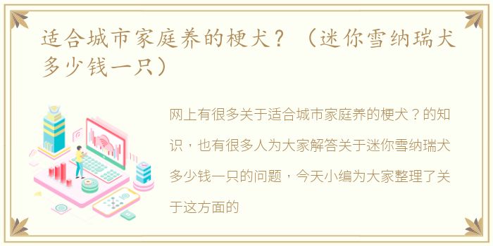适合城市家庭养的梗犬？（迷你雪纳瑞犬多少钱一只）
