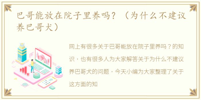 巴哥能放在院子里养吗？（为什么不建议养巴哥犬）