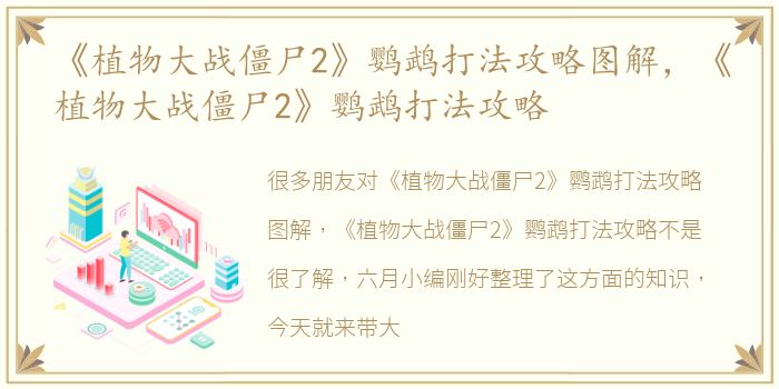 《植物大战僵尸2》鹦鹉打法攻略图解，《植物大战僵尸2》鹦鹉打法攻略