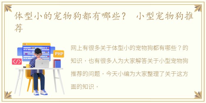 体型小的宠物狗都有哪些？ 小型宠物狗推荐