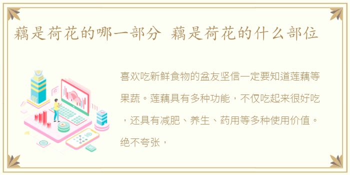 藕是荷花的哪一部分 藕是荷花的什么部位