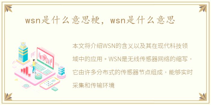 wsn是什么意思梗，wsn是什么意思