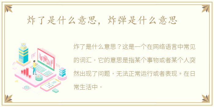 炸了是什么意思，炸弹是什么意思