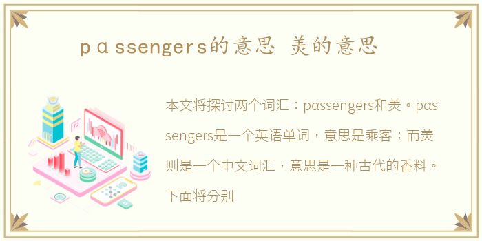 pαssengers的意思 羙的意思