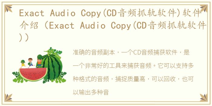 Exact Audio Copy(CD音频抓轨软件)软件介绍（Exact Audio Copy(CD音频抓轨软件)）