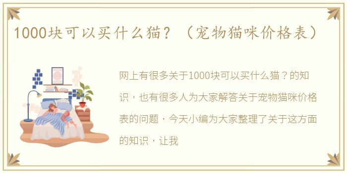 1000块可以买什么猫？（宠物猫咪价格表）