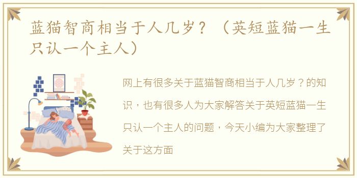 蓝猫智商相当于人几岁？（英短蓝猫一生只认一个主人）