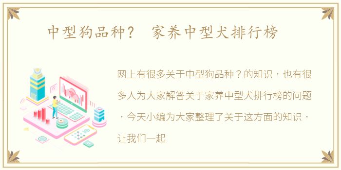中型狗品种？ 家养中型犬排行榜