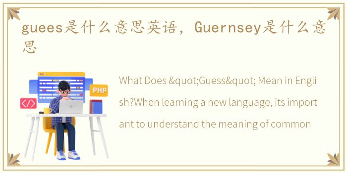 guees是什么意思英语，Guernsey是什么意思