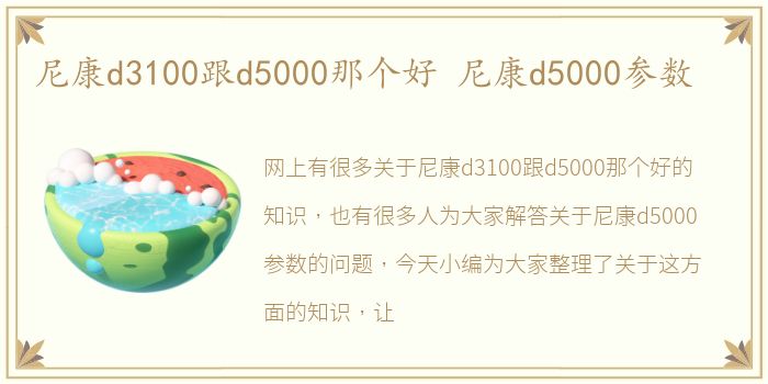 尼康d3100跟d5000那个好 尼康d5000参数