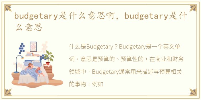 budgetary是什么意思啊，budgetary是什么意思