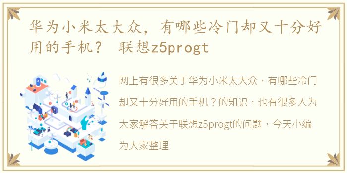 华为小米太大众，有哪些冷门却又十分好用的手机？ 联想z5progt