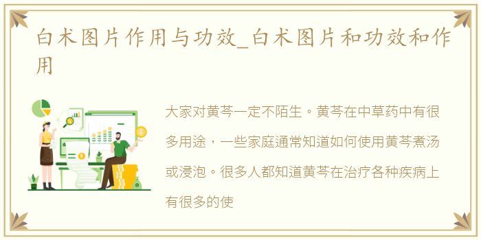 白术图片作用与功效_白术图片和功效和作用