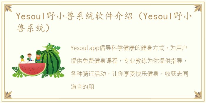 Yesoul野小兽系统软件介绍（Yesoul野小兽系统）