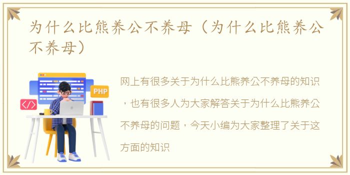 为什么比熊养公不养母（为什么比熊养公不养母）