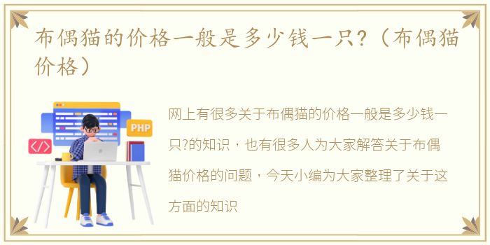 布偶猫的价格一般是多少钱一只?（布偶猫价格）