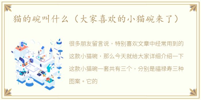 猫的碗叫什么（大家喜欢的小猫碗来了）